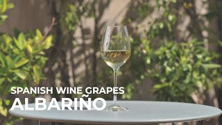 Spanish Wine Grapes Albariño [upl. by Feriga]