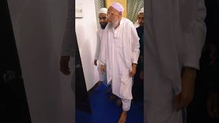 Maulana Sameeruddin Qasmis Great Welcome In Darul Qaza Imaarat Shariah Phulwari Sharif Patna [upl. by Nnaylloh789]