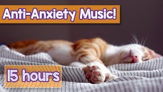 Calming Music for Cats with Anxiety Deep Soothing Music for Anxious ill and Stressed Cats 2018 [upl. by Ametaf]