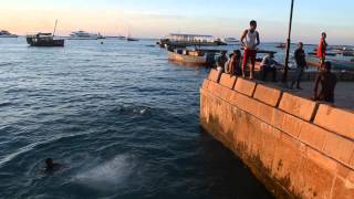 Jumps at Stone Town Zanzibar [upl. by Atnoled706]