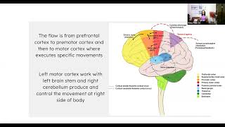 Tìm hiểu về NeuroKinetic Therapy [upl. by Havard75]