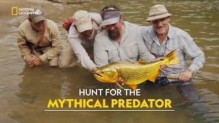 Golden Dorado Hunt  Legendary Catch  हिंदी  Full Episode  S1  E2  Nat Geo Wild [upl. by Natsirhc]