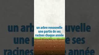 5 réponses au sujet du bois enterré  permaculture [upl. by Anatole]