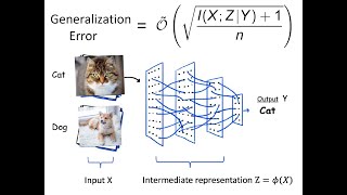 ICML 2023  How Does Information Bottleneck Help Deep Learning [upl. by Eniotna]