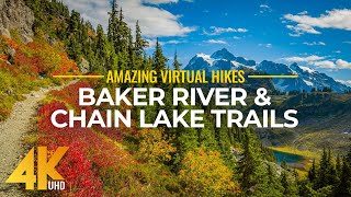 4K Virtual Hike Near River through the Forest  Baker River Trail amp Chain Lake Trail [upl. by Randa]