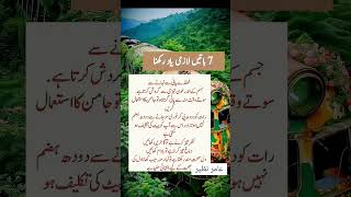 سات باتیں لازمی یاد رکھنا۔۔ golden words  ماشاء اللہ [upl. by Kirred]