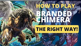 Branded Chimera Combo Guide AntiTenpai 🔥 [upl. by Noirred182]