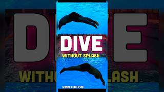 learn dolphin dive without splash  slow motion dive technique swimming olympics 2024 [upl. by Einreb]