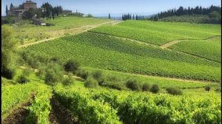 Chianti best routes in Tuscany [upl. by Austen646]