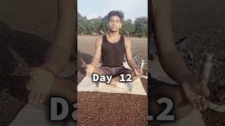 Day 12  30 day bramhacharya challenge [upl. by Mixam]