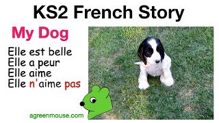 KS2 French Story  My Dog [upl. by Daph]