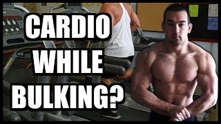 How To Perform Cardio While Bulking amp Building Muscle [upl. by Philan833]