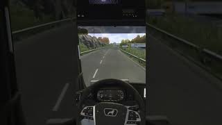 Überraschung 🥳 ETS2 Gefahrenbremsung SCS Gaming Shorts [upl. by Wei]