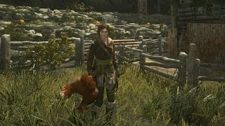 Rise of the Tomb Raider Walkthrough  Fowl Play Challenge [upl. by Jakie]