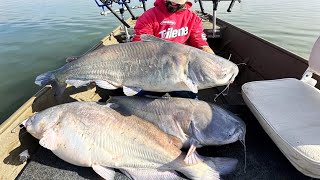 The MOST INSANE CATFISHING of my LIFE 200 lbs [upl. by Aihsenad]