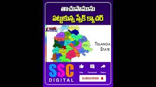 తాచు పామును పట్టుకున్న స్నేక్‌ క్యాచర్‌  Snake Catcher  Shorts Sscdigital Balannamuchatlu [upl. by Clara488]