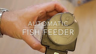 Automatic fish feeder [upl. by Brookner]