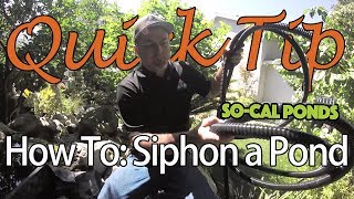 Quick Tip How to Siphon a Pond [upl. by Anema]