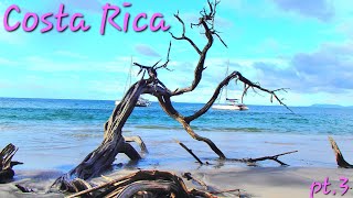 Costa Rica Tamarindo Catamaran and hotel tour [upl. by Leiser]