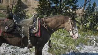 Red dead redemption 2 Online My buckskin brindle Missouri Fox Trotter ✨ [upl. by Lipsey]