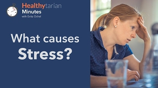 Stressors and Common Causes of Stress Healthytarian Minutes ep 1 [upl. by Elizabet493]