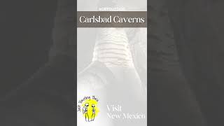 Carlsbad Caverns National Park newmexico nationalparks roadtrip [upl. by Teik]