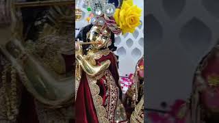 Heri sakhi mangal gao ri 🥰 radharani shriji radheradhe krishna [upl. by Deeanne]