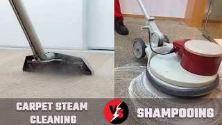 Carpet Steam Cleaning vs Shampooing [upl. by Aicenert]