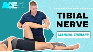 Tibial Nerve [upl. by Silvanus]