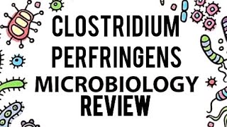 CLOSTRIDIUM PERFRINGENS GAS GANGRENEFOOD POISONINGLEVINSION MICROBIOLOGY REVIEW DETAILED [upl. by Dzoba]