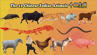 ✨2024 Chinese Zodiac Predictions Part 2  Chinese Horoscope Overview 🐴🐐🐵🐓🐶🐷 [upl. by Meara151]