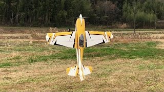 SKYWING Laser260 48quotPP【ラジコン飛行機】飛行場がピンチでガソリン機が飛ばせないI氏が我慢出来ずに48in再デビュー [upl. by Farrar792]