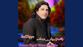 Janana Khpal Watan T Rasha [upl. by Otreblasiul]