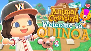 My Ninth Month In Animal Crossing New Horizons [upl. by Nnaycnan]