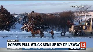 Horses pull stuck semi up icy driveway [upl. by Ahseer]