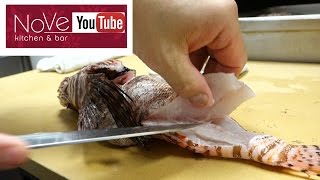 VENOMOUS Lionfish Sashimi  How To Make Sushi Series [upl. by Halle600]