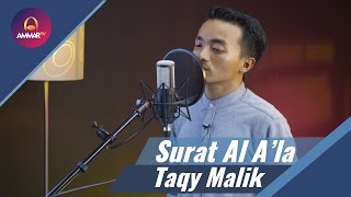 Taqy Malik  Surat Al Ala [upl. by Lednek]