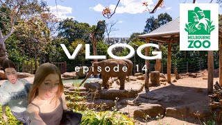 The Zoo Vlog Ft Abbey [upl. by Adnilrev]