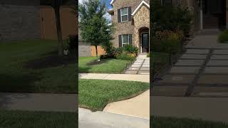 Look How Ironite and SuperThrive Transformed Lawncare [upl. by Kathlin]