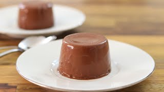 Chocolate Panna Cotta Recipe [upl. by Senskell]