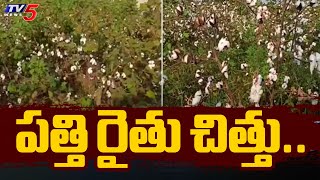 Khammam District  పత్తి రైతు చిత్తు Cotton Farmers Suffering Due to Rain  Tv5 News [upl. by Storz]