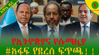 Alemneh wase የኢትዮጵያና የሱማሊያ አፋፍ የደረሰ ፍጥጫ [upl. by Anirres]