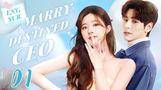 EngSub Marry Destined CEO EP01｜Chinese drama｜Zhao Lusi [upl. by Yvor]