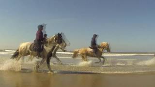 Horse Riding Holidays and Day Trips in the UK [upl. by Greenman]