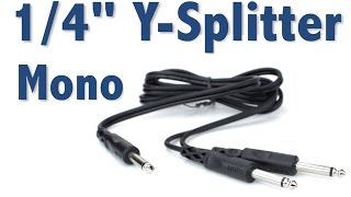 Hosa Mono YSplitter  Split 1 Output Into 2 Inputs [upl. by Roberta]