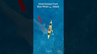 Great Escape From Blue Whale 🐳 🐳🐳 Attack whale attack [upl. by Ayhtak76]