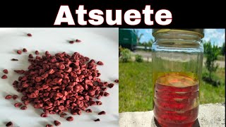 How to extract color from atsuete seeds [upl. by Htilil255]