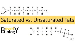 Saturated vs Unsaturated Fats [upl. by Myriam]