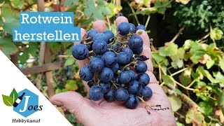 Rotwein selber machen  Wein aus eigenen Trauben herstellen  Maischegärung [upl. by Joost]