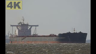 MARTHA OLDENDORFF  Shipspotting Germany 🇩🇪 IMO 9678812  River Elbe near Otterndorf  4K VIDEO [upl. by Hbaruas859]